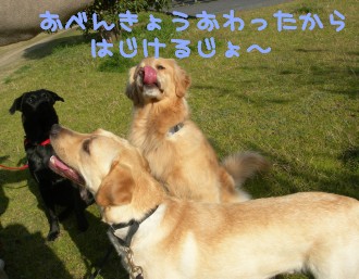 Play Time