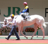 eba550cc.jpg