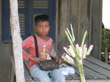 IMG_0652
