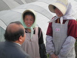 PC150040