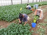 RIMG0125