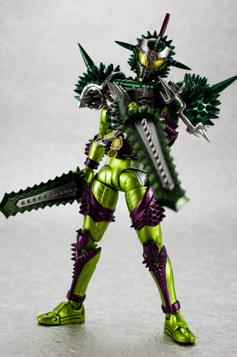 IMGP6548
