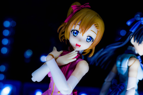 IMGP6953