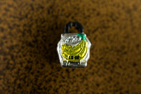 IMGP3033
