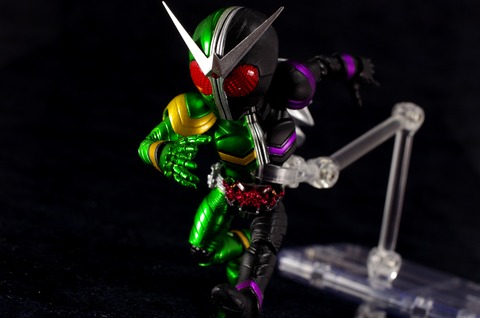 IMGP2505