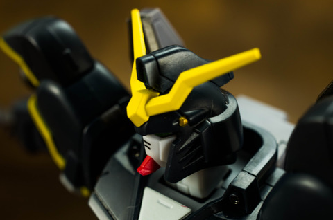 IMGP7891