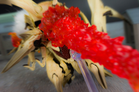 IMGP7855535