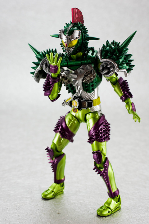 IMGP6529