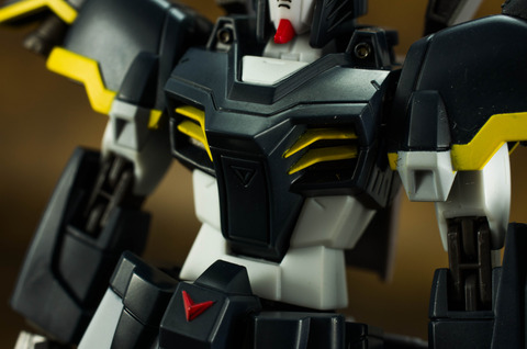 IMGP7503