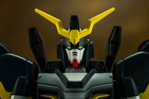 IMGP7493