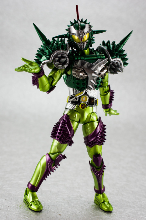 IMGP6521