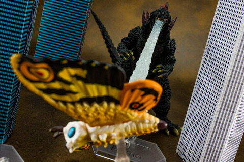 IMGP9563