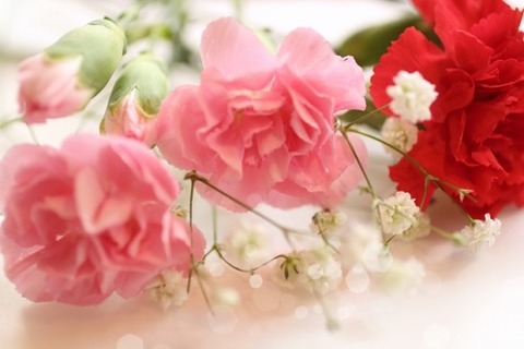 5f4bec991b1f49502db5592dd07c8c08_s