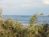 e2da8107.jpg
