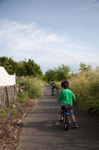 22桂川サイクリング-1