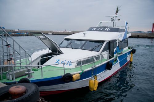 1日間賀島正月-12