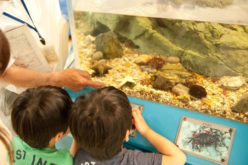22京都市青少年科学センター-14