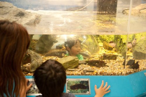 22京都市青少年科学センター-13