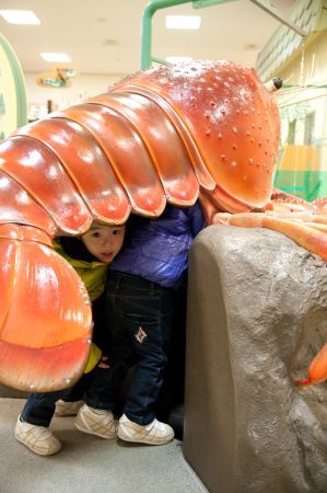 9琵琶湖博物館-28