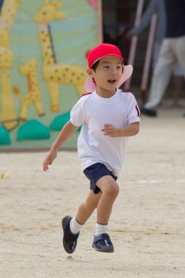 2太秦保育園運動会-68