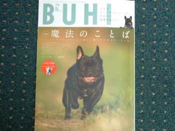 イギー家がBUHIに載りました
