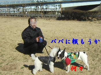 ないしょ話