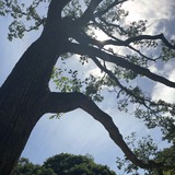 IMG_0869