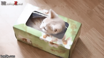 ȋȑqZ 228rڔLKCWuX [f]ڋ֎~]©bbspink.com	->摜>5182 