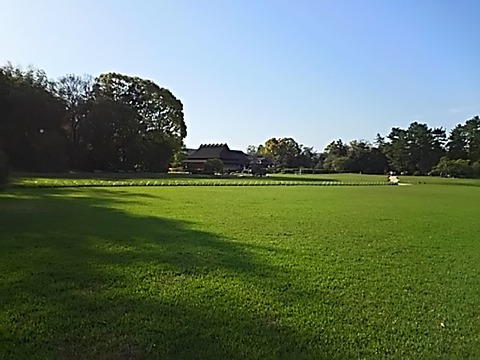 IMG_4368