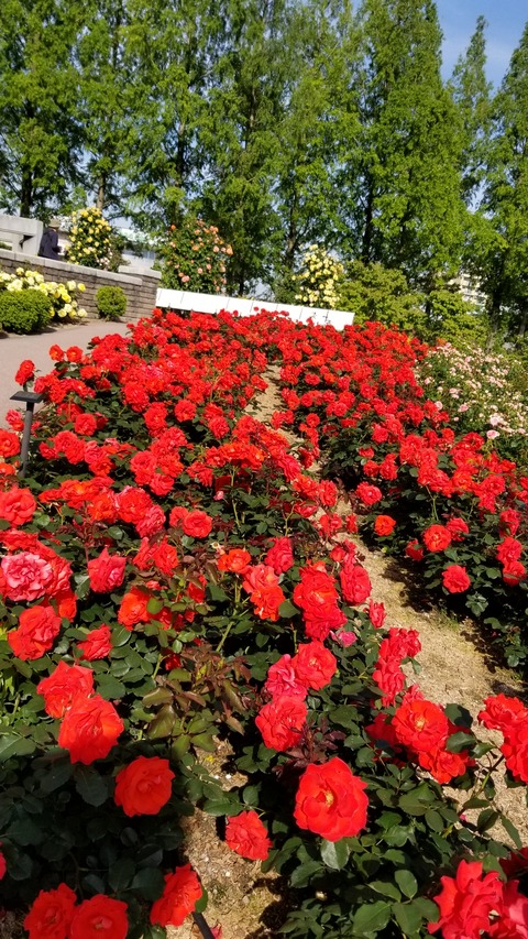 20180511_155449