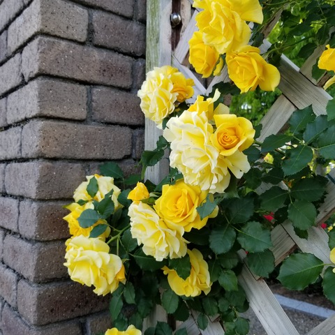 20180511_162121