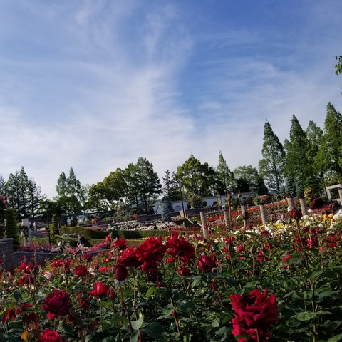 20180511_163255