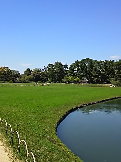 IMG_4370