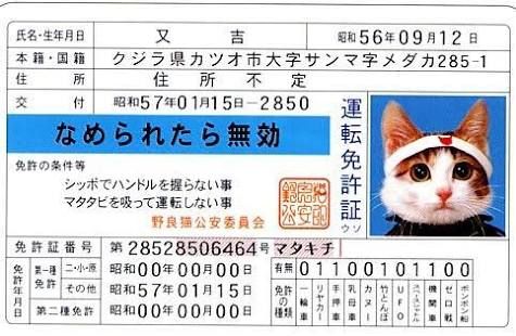 B63DBD9B-88DE-4C04-A27D-B7E7734CB3BC