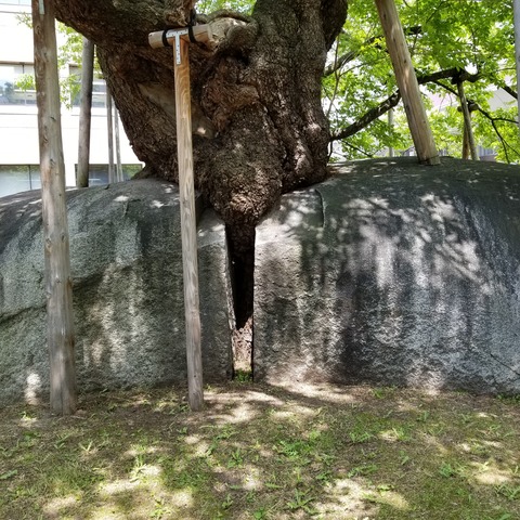 20180525_122135