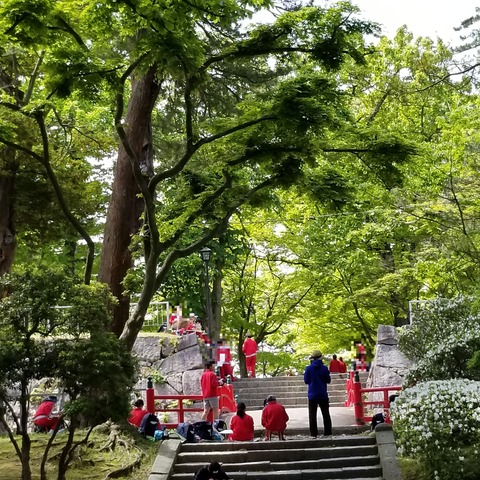 Fotor_152781587142019