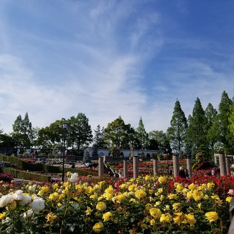 20180511_163420