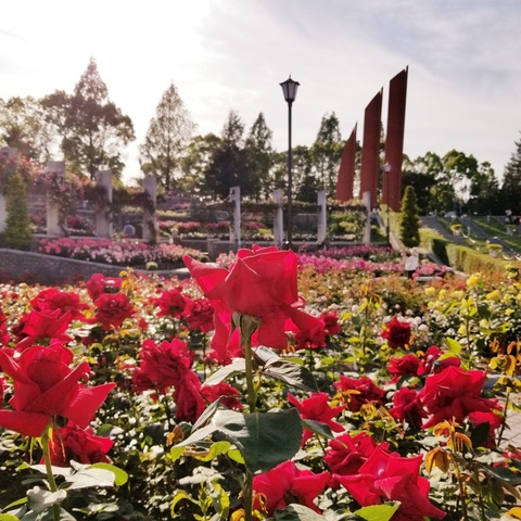 20180511_171746