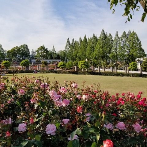 20180511_162945