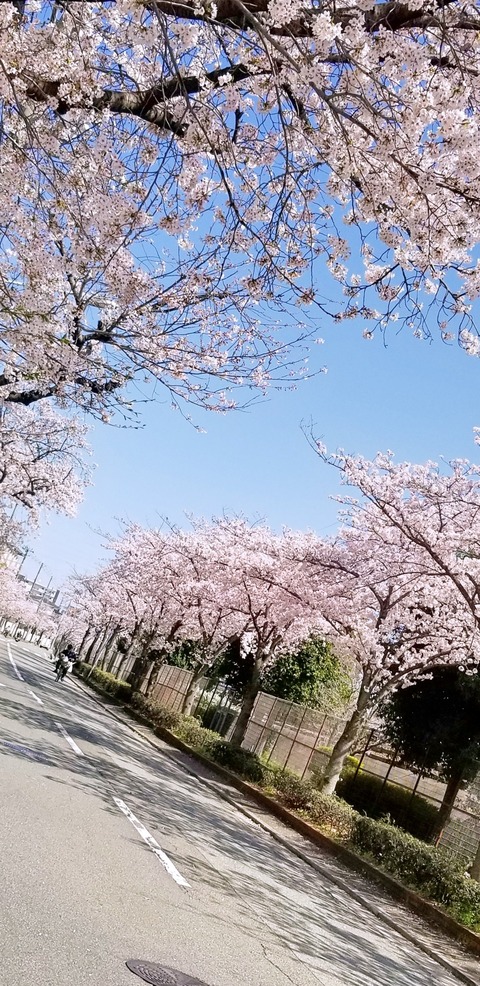 Fotor_152239404377058