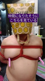 BeautyPlus_20190321161751762_save