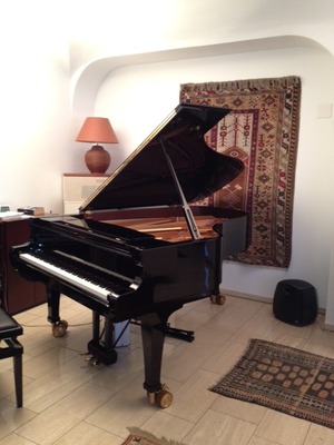 swiss 16