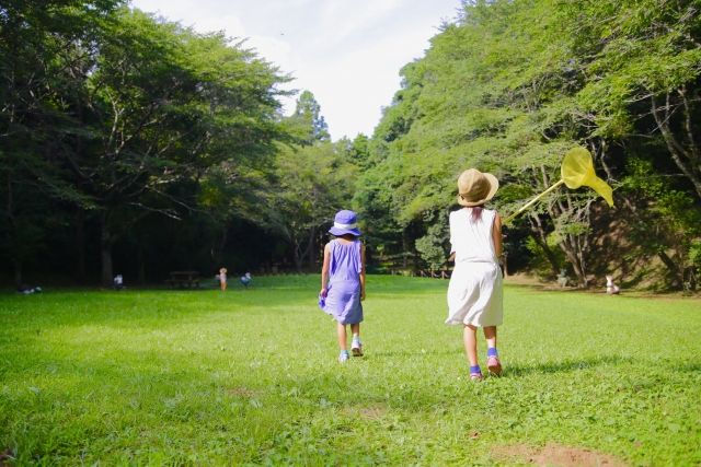 夏休み自由研究