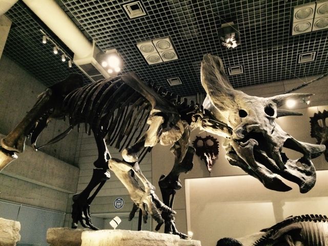 dinosaur