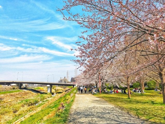 hanami2017