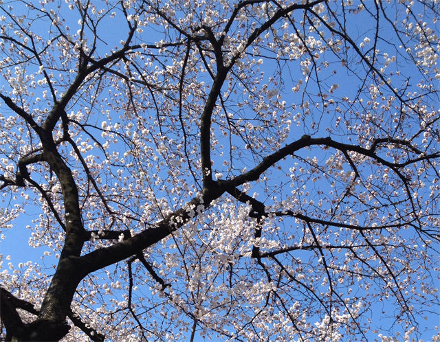 140311_1
