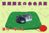 �ޤ�ˤ��β����