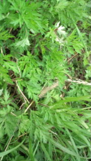 20120420123937[1]