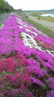 20120420124751[1]