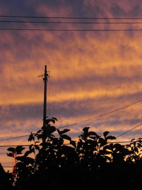 20110821-3